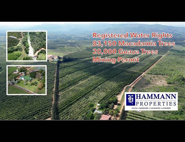 FARM FOR SALE IN LEVUBU